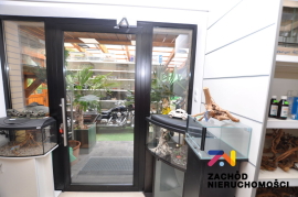 Lokal do wynajęcia Jędrzychów
